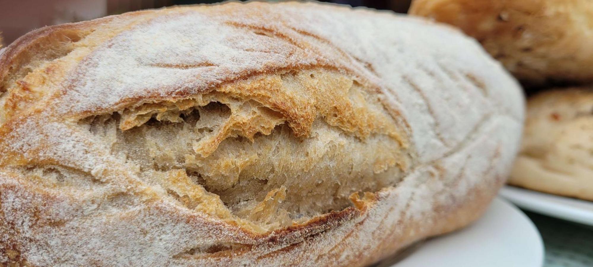 Radisson Blu Hotel, Greater Noida Exterior foto A close-up of a loaf of bread
